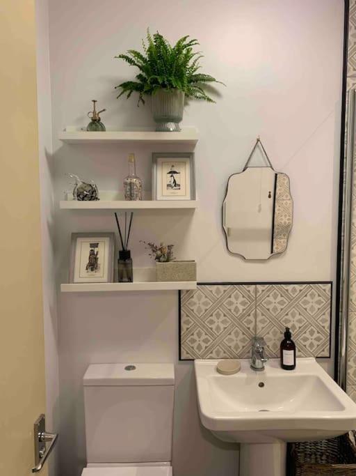 The Nest, Central Ludlow One Bed Apartment Ngoại thất bức ảnh